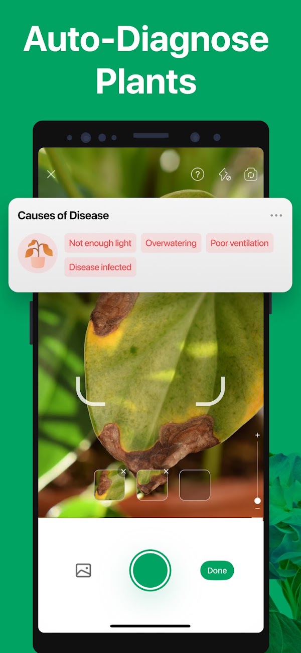 PictureThis - Plant Identifier Screenshots 4