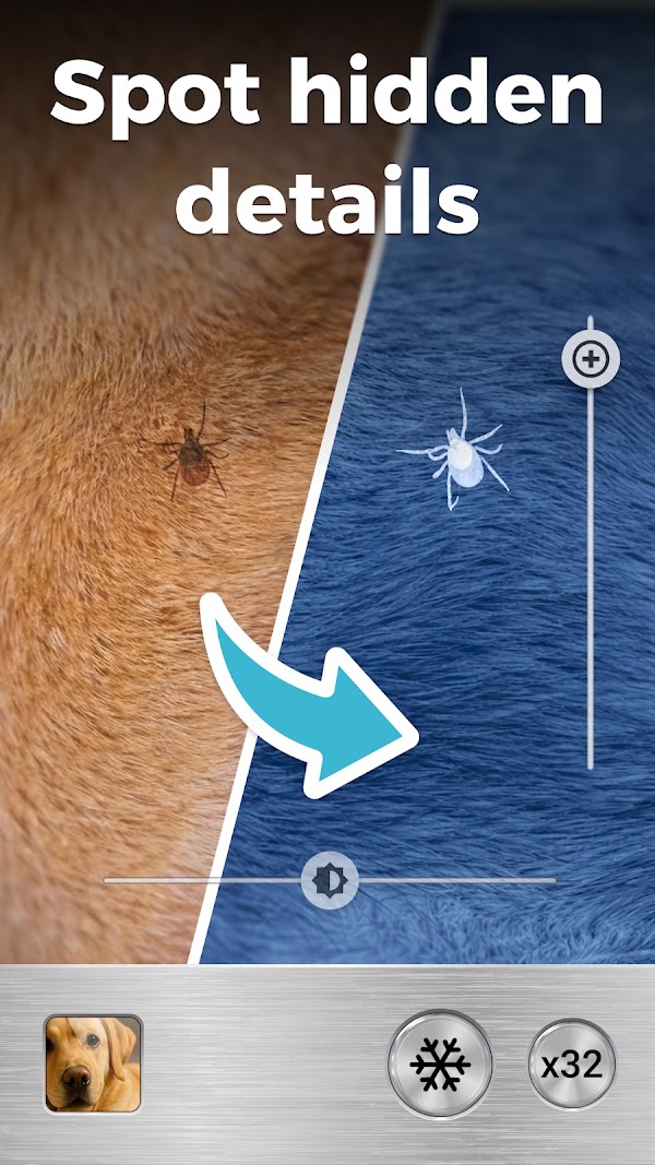 Magnifier Plus with Flashlight Screenshots 2