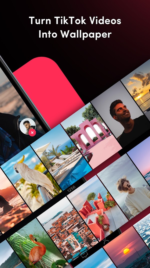 TickTock-TikTok Live Wallpaper Capturas de pantalla 2