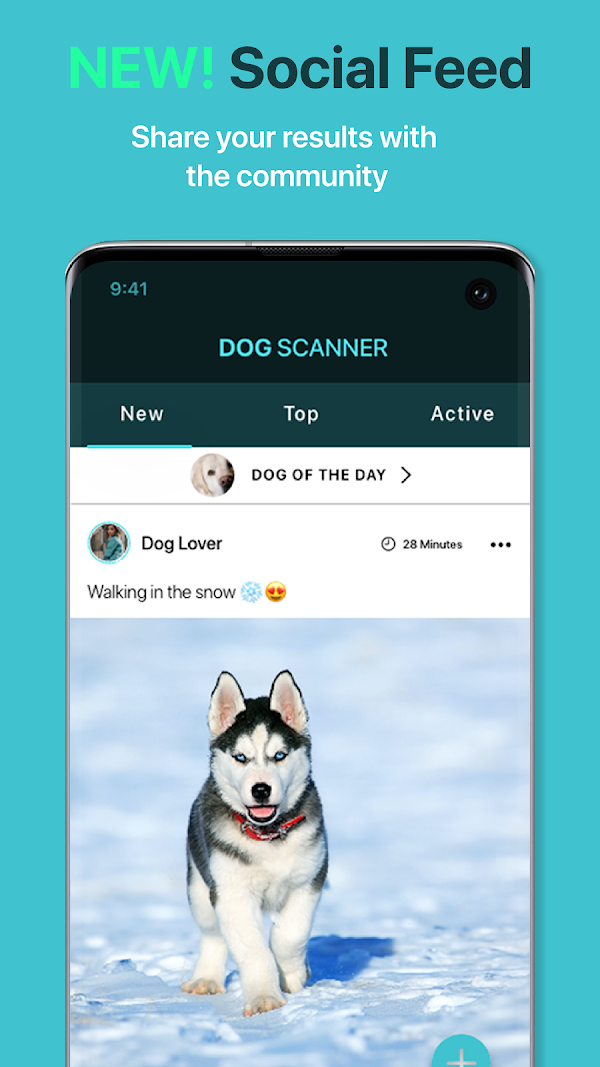 Dog Scanner: Breed Recognition スクリーンショット 4