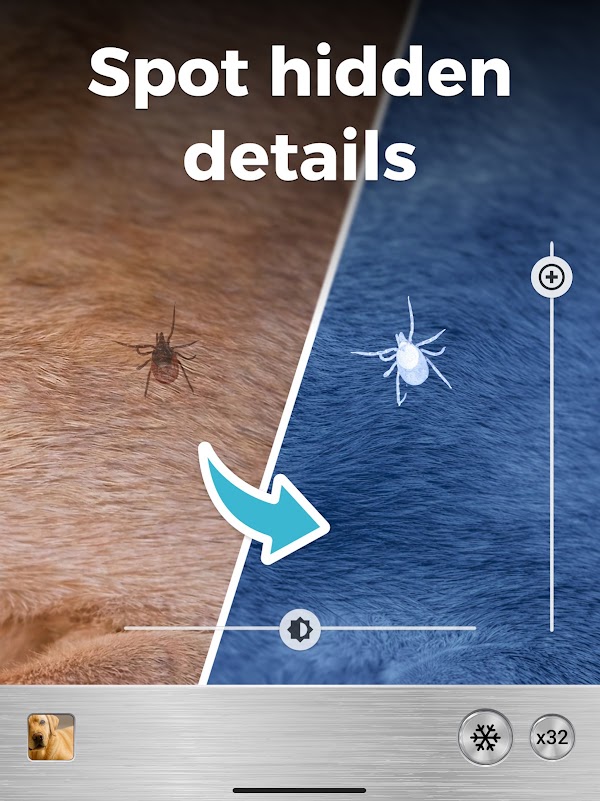 Magnifier Plus with Flashlight Screenshots 8