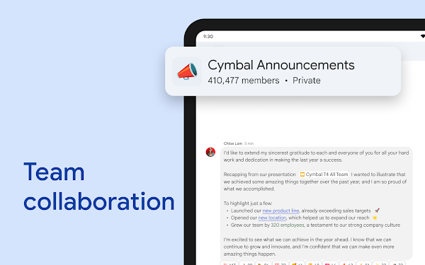 Google Chat Screenshots 11