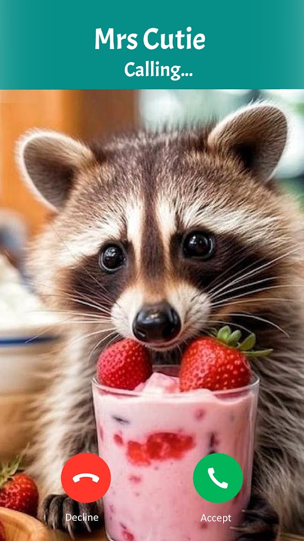 Raccoon Prank Call & Chat Capturas de tela 3