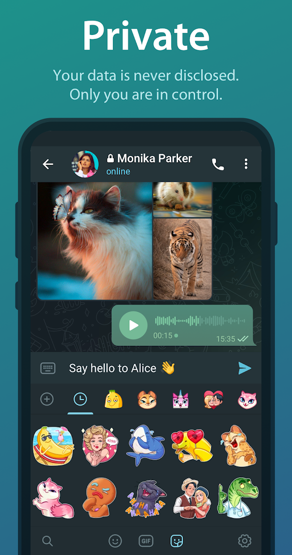 Telegram Screenshots 4