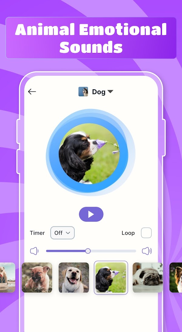 Cat & Dog Translator Simulator Screenshots 3