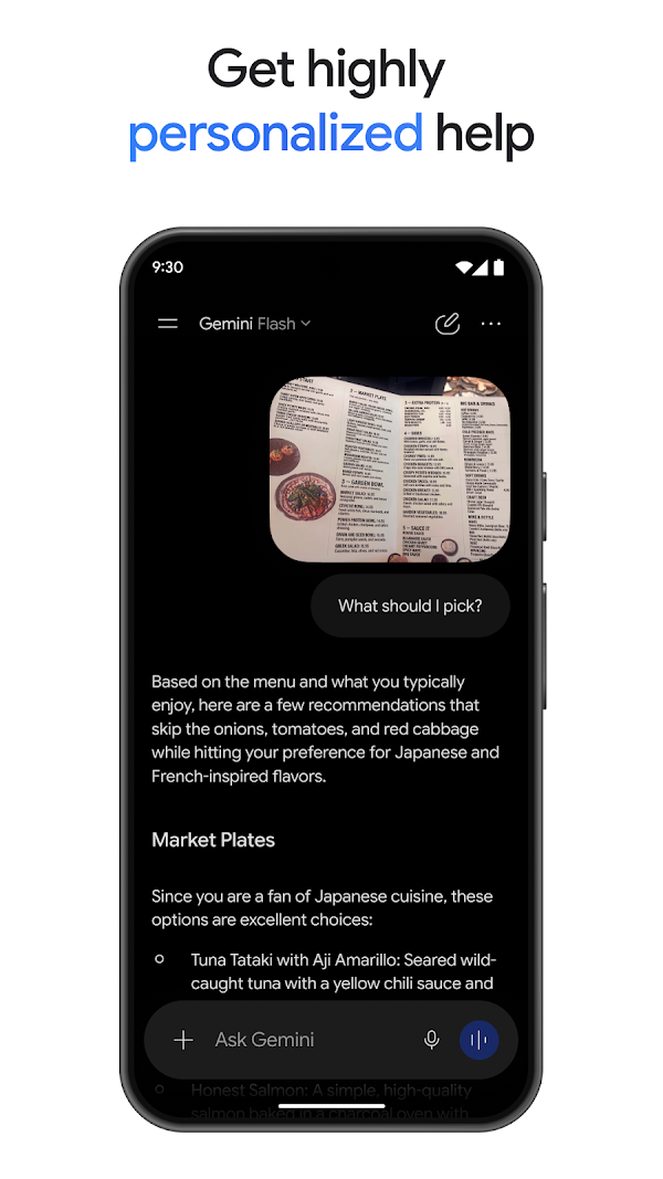 Google Gemini Screenshots 8