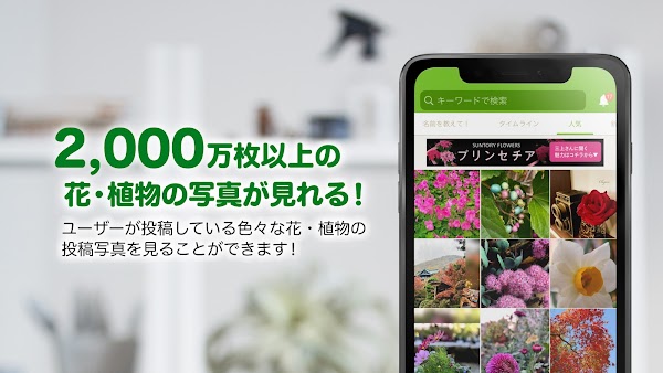 GreenSnap - 植物・花の名前が判る写真共有アプリ スクリーンショット 3