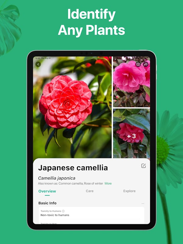 PictureThis - Plant Identifier Screenshots 10