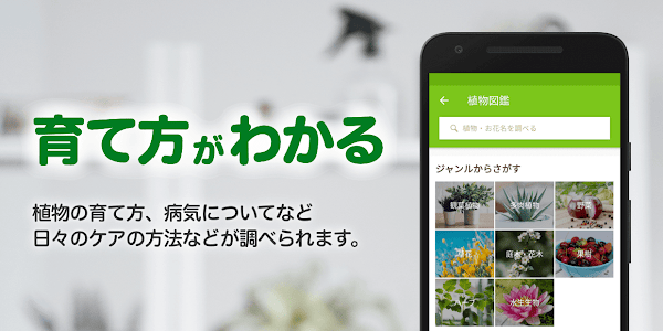 GreenSnap - 植物・花の名前が判る写真共有アプリ スクリーンショット 4