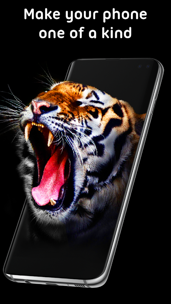 GRUBL™ 4D Live-Hintergründe KI Screenshots 6