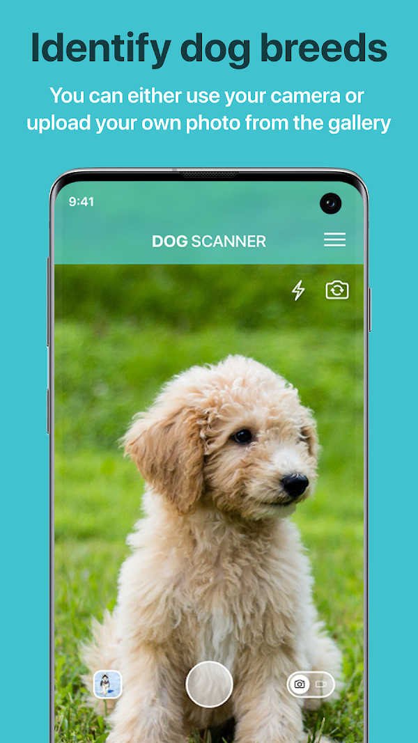 Dog Scanner: Breed Recognition スクリーンショット 1