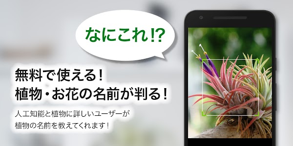 GreenSnap - 植物・花の名前が判る写真共有アプリ スクリーンショット 1