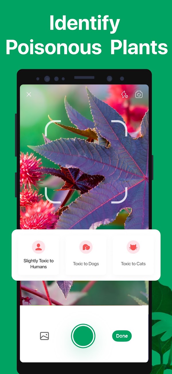 PictureThis - Plant Identifier Screenshots 6