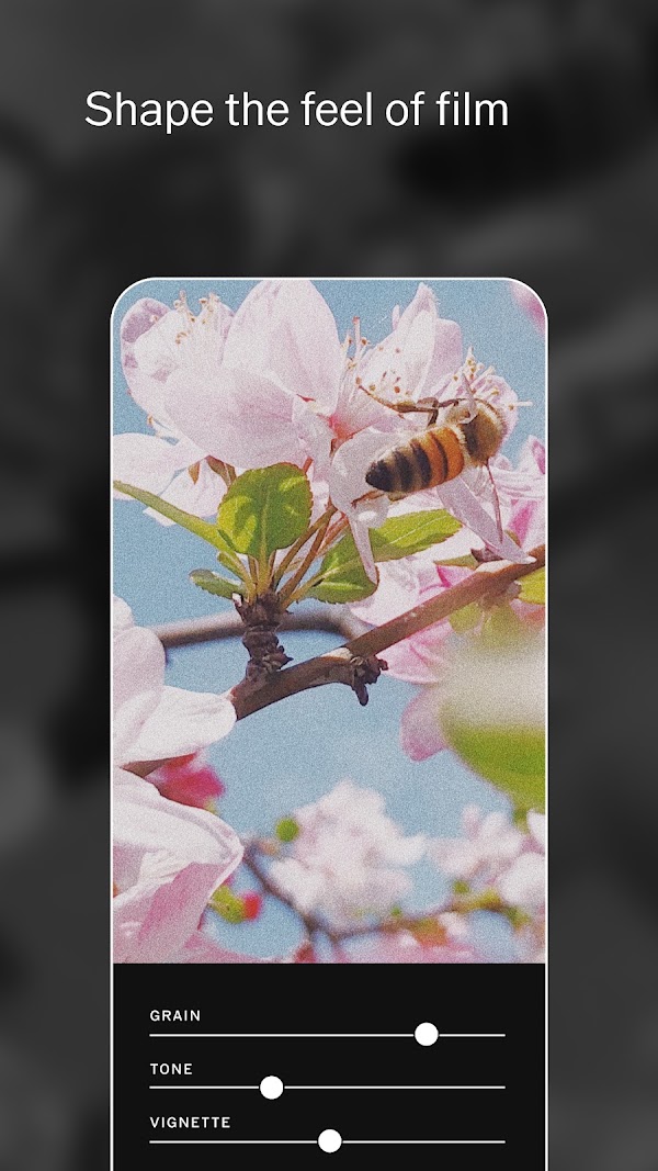 VSCO: Photo Editor Screenshots 4