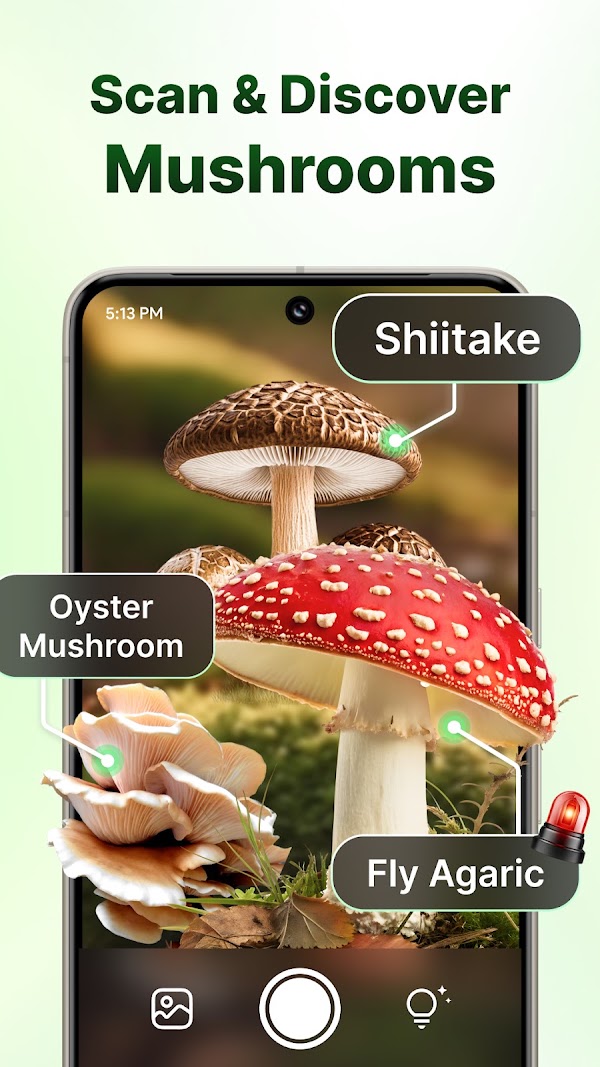 LeafCheck: Pflanzenpflege Screenshots 7