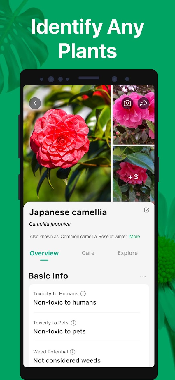 PictureThis - Plant Identifier Screenshots 2