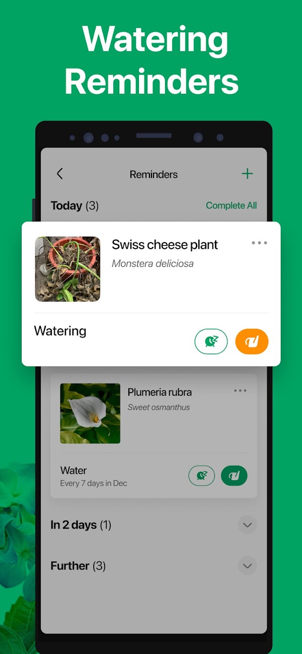 PictureThis - Plant Identifier Screenshots 5