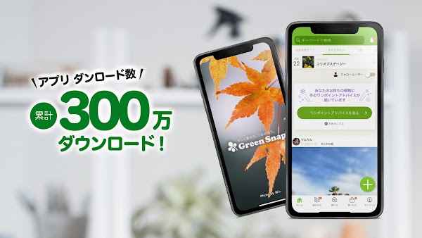 GreenSnap - 植物・花の名前が判る写真共有アプリ スクリーンショット 2