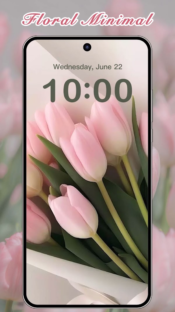 ThemeKit - Themen & Widgets Screenshots 5