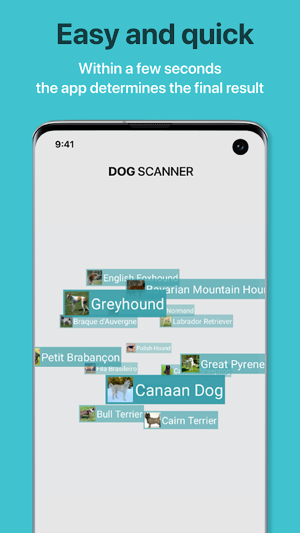 Dog Scanner: Breed Recognition スクリーンショット 3