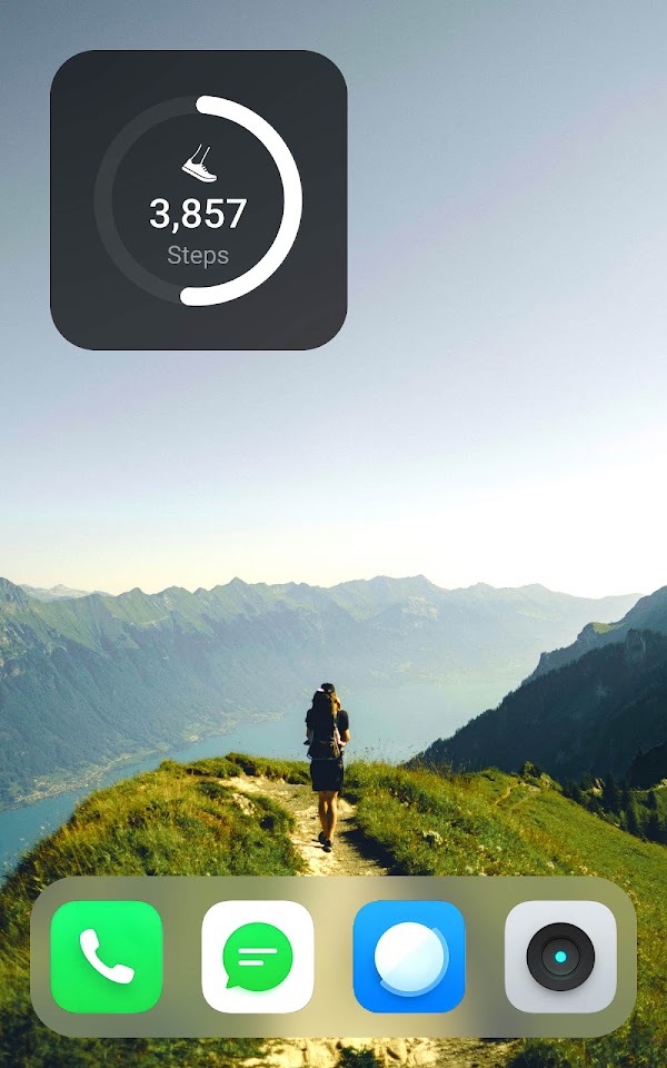 Schrittzähler - Pedometer Screenshots 6