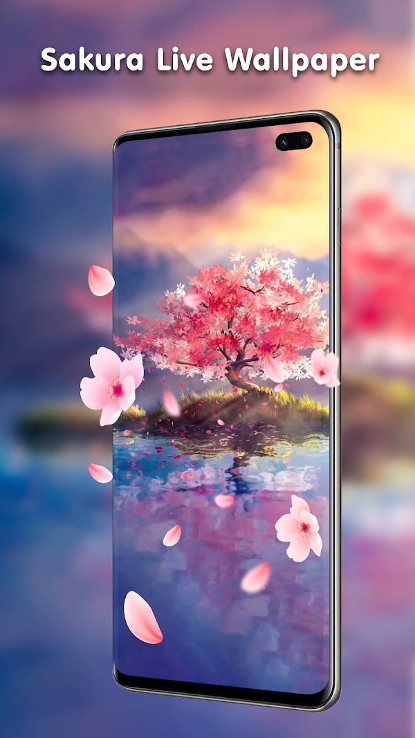 Transparent Live Wallpaper Screenshots 7