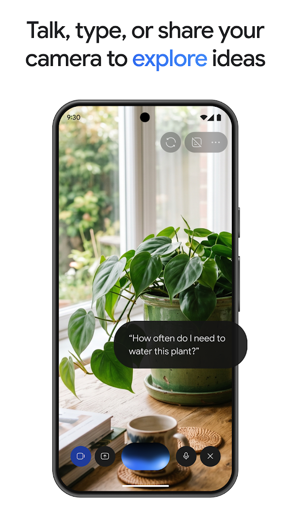 Google Gemini Screenshots 2