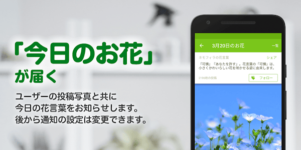 GreenSnap - 植物・花の名前が判る写真共有アプリ スクリーンショット 8